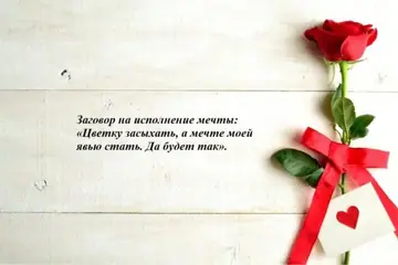 Ритуалы в день рождения и приметы: магия и обряды на исполнение желания, заговоры на богатство и заклинания на любовь и удачу
