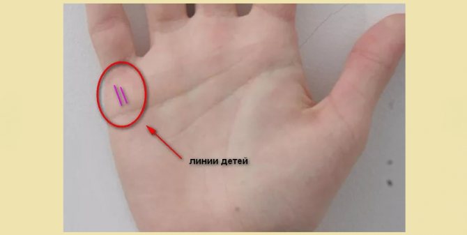 Еще один пример линии деток