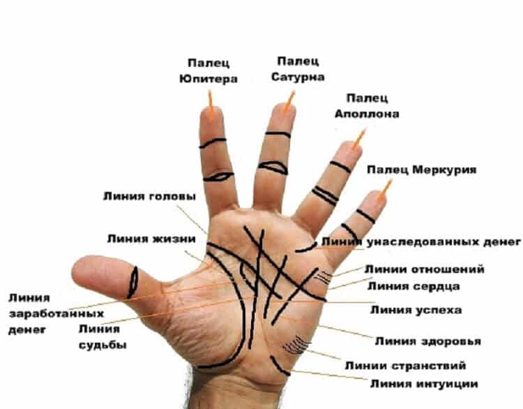 Где находится линия богатства и успеха на руке