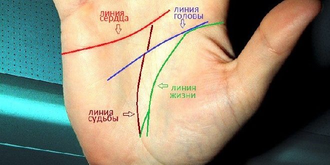 Главные линии на руке