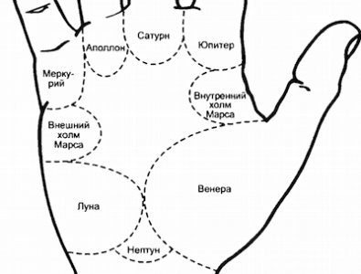 холмы на руке