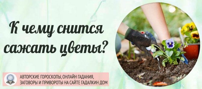 К чему снится сажать цветы
