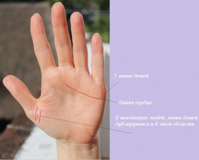 Линия сердца и детей