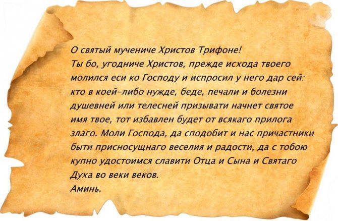 Молитва Трифону Апамейскому