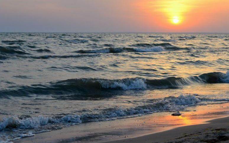 море