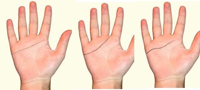 Разновидность линий